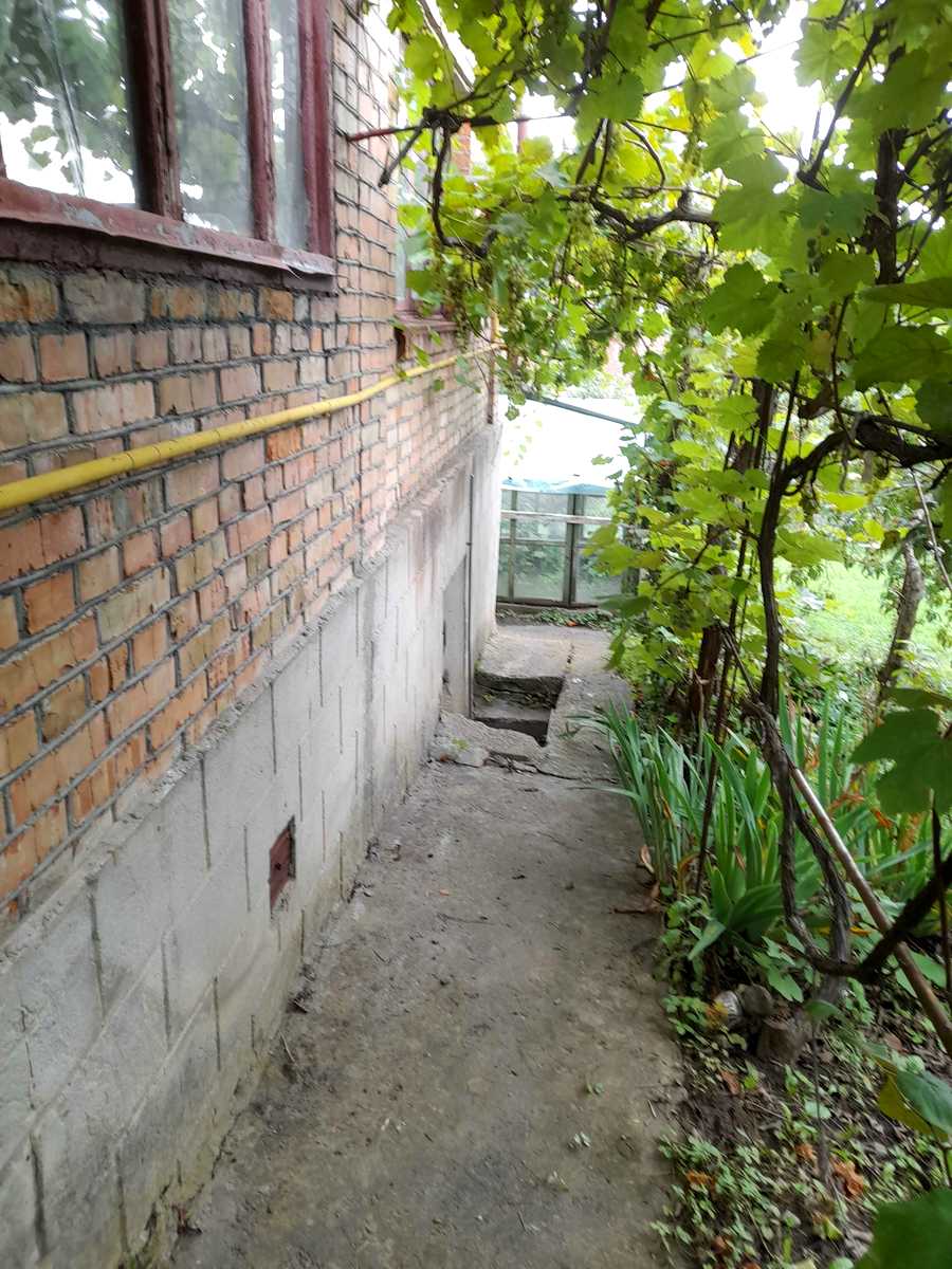 1846578830112663