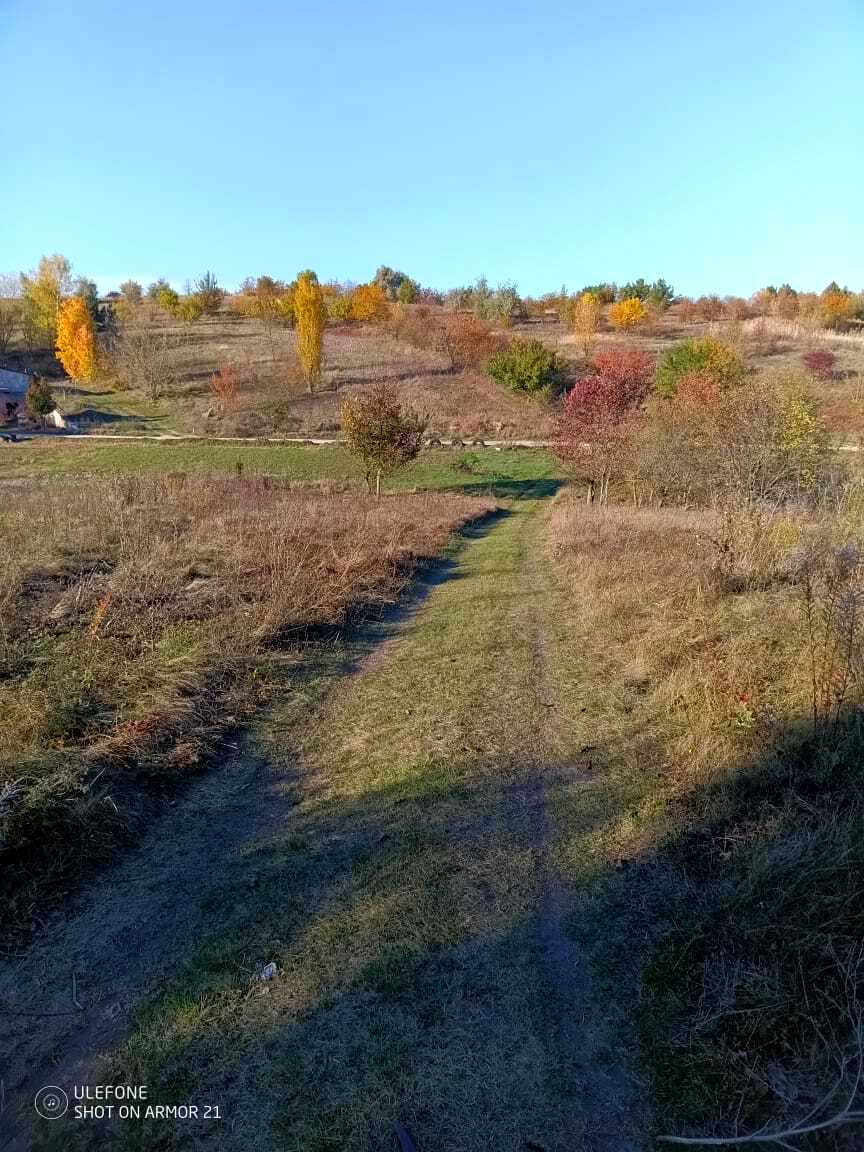 1821041700772473