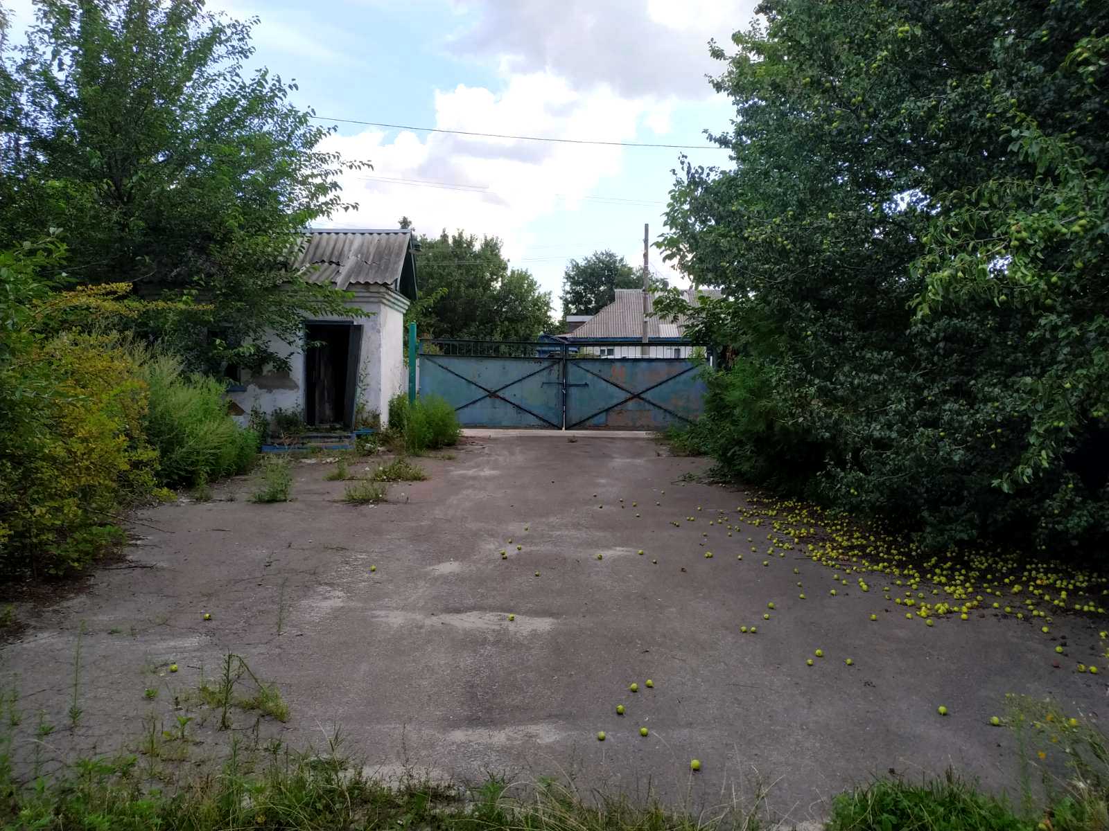 1839879564065796