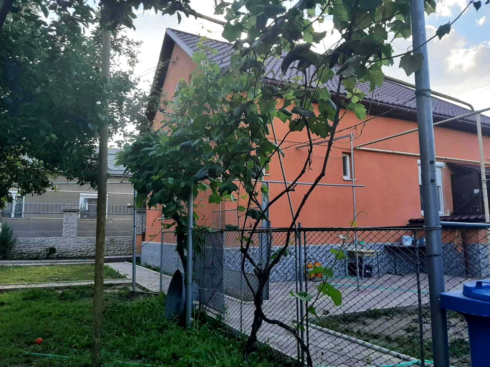 1739414881748807
