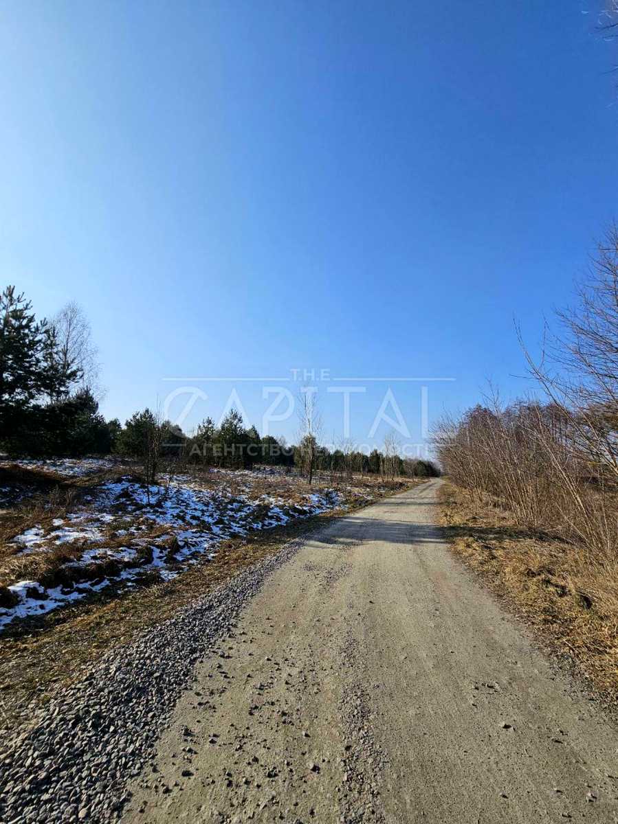 1834807289102386
